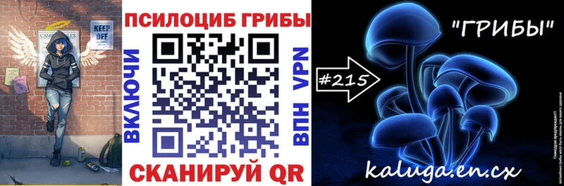 как найти закладки  кракен зеркало  Псилоцибиновые грибы Psilocybine cubensis  Губаха 