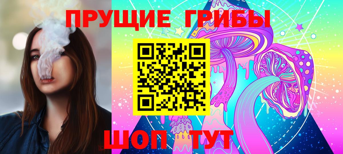 Губаха  что такое   Вход с VPN  Псилоцибиновые грибы Psilocybine cubensis 