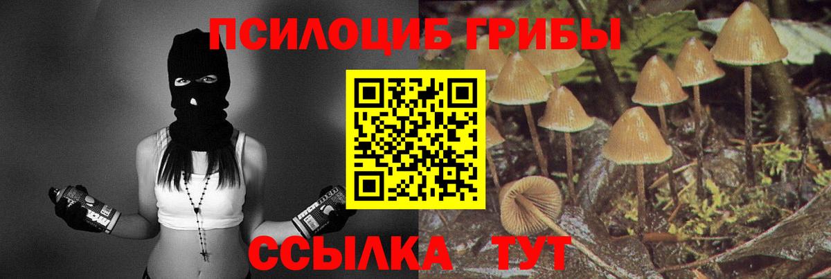 Галлюциногенные грибы GOLDEN TEACHER Губаха